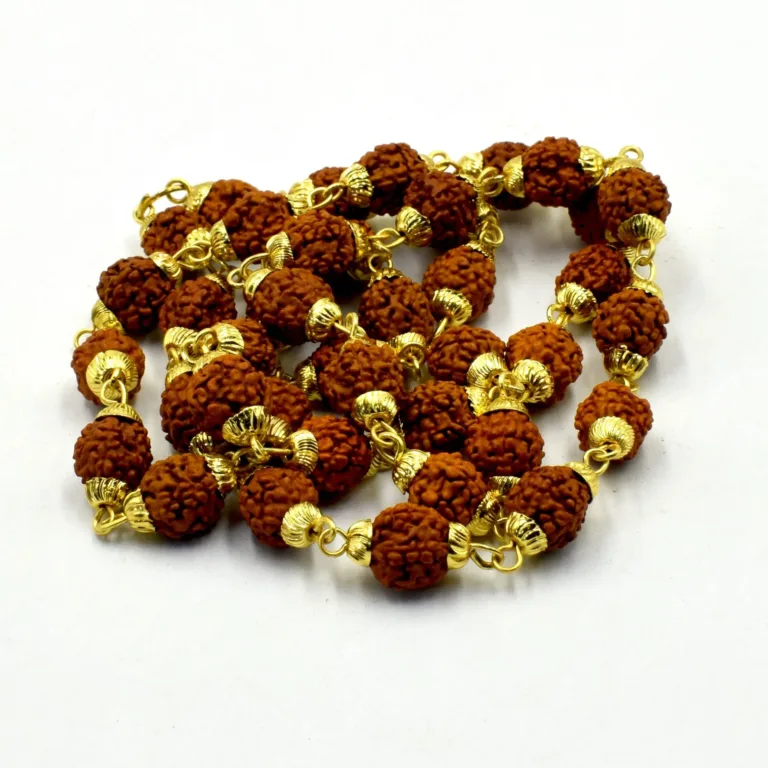 Siddh Rudraksha